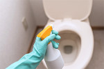 トイレの掃除方法
