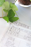 太陽電池モジュールの選び方