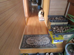 床を張替えたことでフワついていた床が直りました