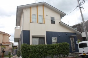 できるだけ飽きない色で個性的なカラーリングを強調しました。
