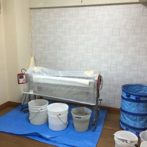 大人っぽいアクセントクロスが気に入りました。
