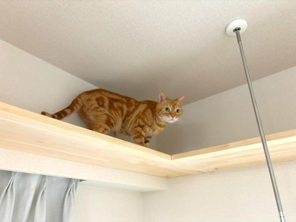 和室リフォーム 住まいるREIWA