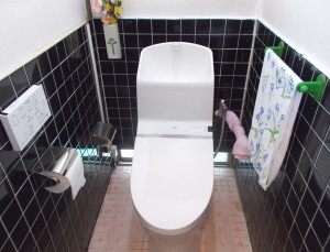 コンパクトで使い勝手のいいトイレに交換しました。