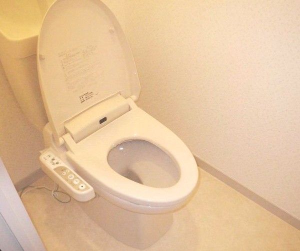 トイレは「ジャニス工業」のバリュークリンにリフォームしました。