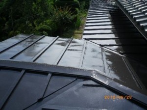 ツヤが美しいトタン屋根に