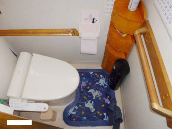 介護保険を利用して各所に手摺を取り付けました。