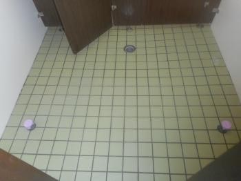 事務所リフォーム トイレ 株式会社作新建装