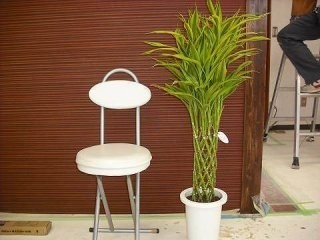 店舗リフォーム リノベーション(スケルトン・全面リフォーム) 有限会社アールエス