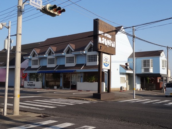 イメージ通りの南国風外観に仕上がりました！